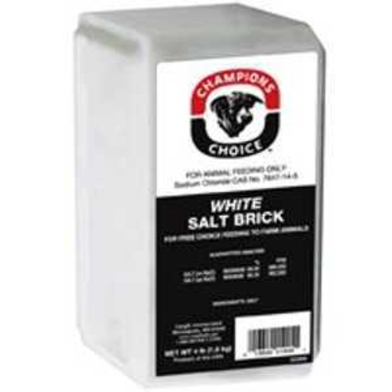 Roto Salt Champion’s Choice 110005051 Salt Brick, 4 lb, Pack of 15