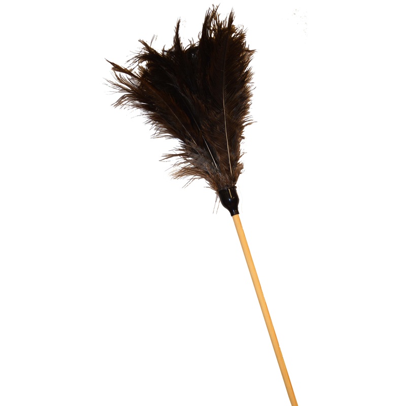 ACADEMY FEATHER DUSTER 1.8M LARGE HEAD