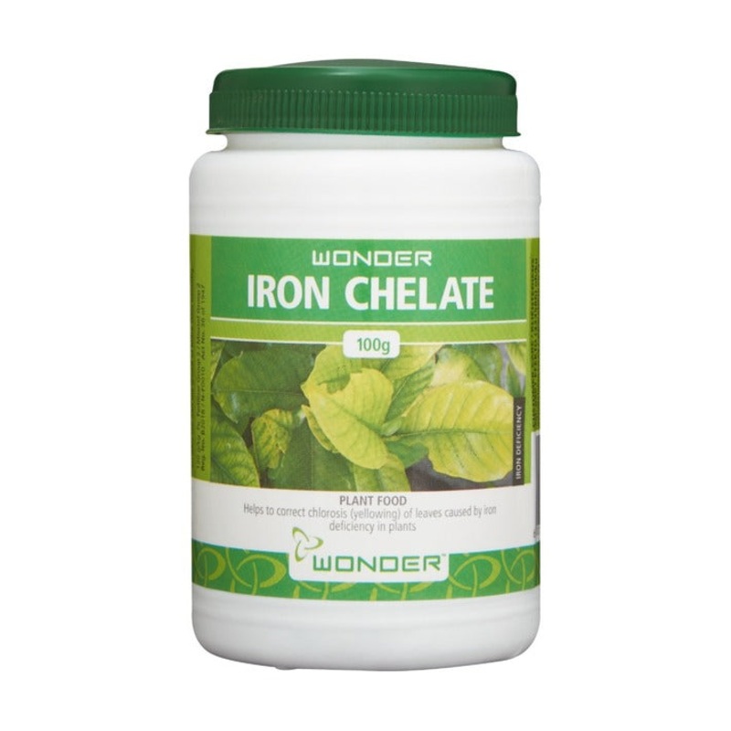 WONDER IRON CHELATE 100G
