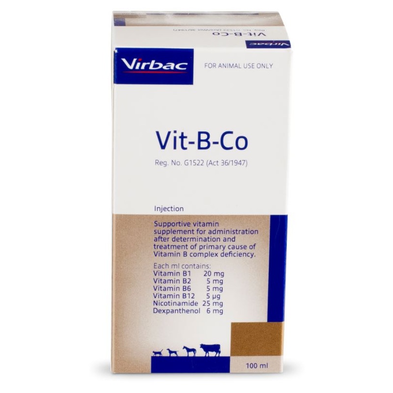 VIT B COPHOS 100ML ANTROVET