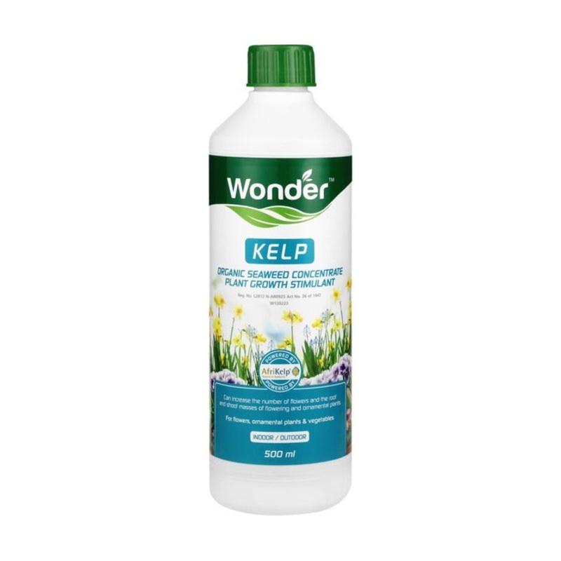 WONDER KELP 500ML