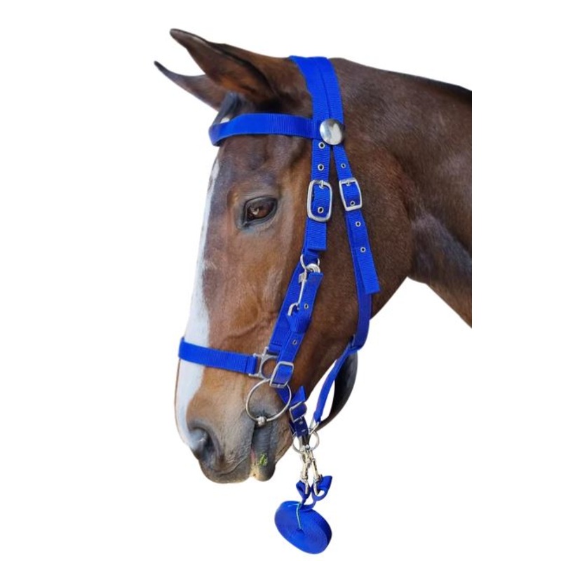 BRIDLE ENDURANCE SOLO BLACK