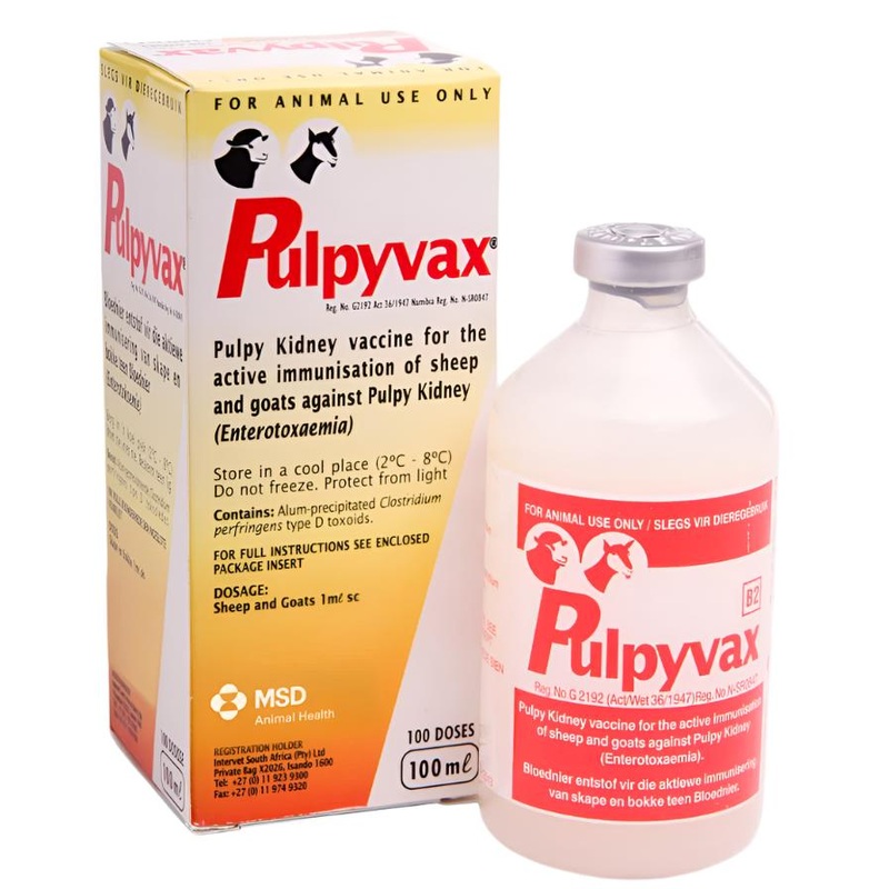VACCINE PULPYVAX 100ML MSD
